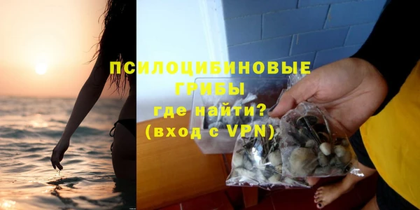 MDMA Premium VHQ Карпинск