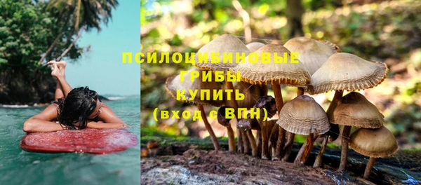 МДПВ Карталы