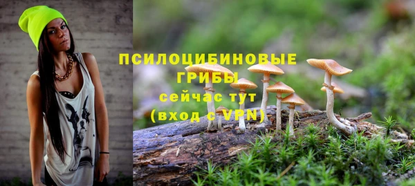 MDMA Premium VHQ Карпинск