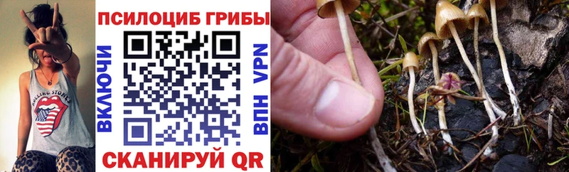Галлюциногенные грибы MAGIC MUSHROOMS  Купить закладки  Инсар 
